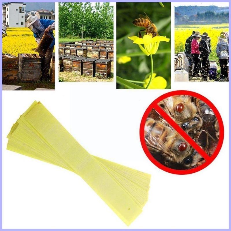20Pcs Fluvalinate Strips Varroa Bees Beekeeping Strips Beekeeping Tablets Product Medicine Anti Varroa Mites Control 3