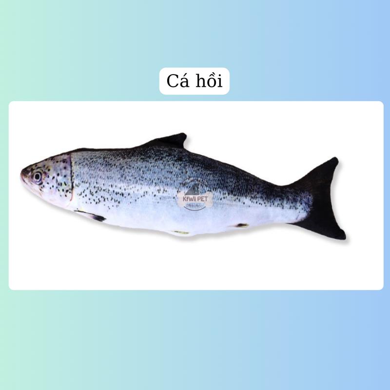 [40cm] Đồ chơi cho thú cưng size Lớn, Cá đồ chơi có CỎ MÈO cho mèo, Đồ chơi giảm stress cho mèo 7
