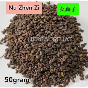 Tersedia Nu Zhen Zi 50 Gram Fructus Ligustri Lucidi