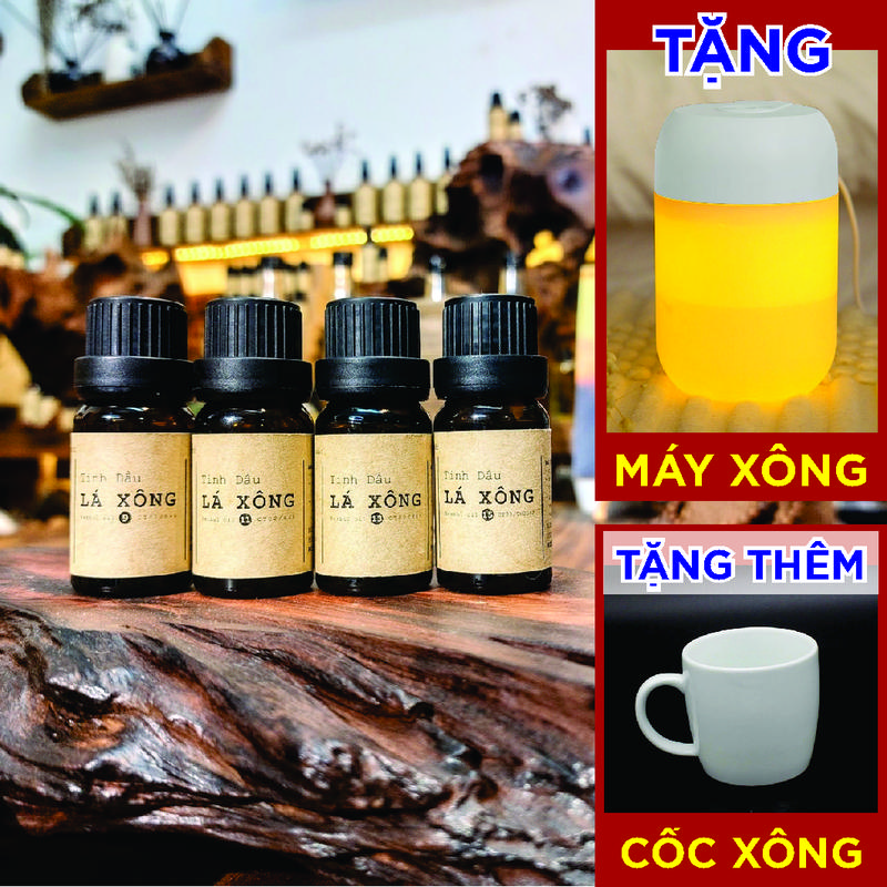 Tinh Dầu Lá Xông - Tặng Đèn Nến - Tặng Cốc Xông - Xông Cúm, Xông Hơi, Giải Cảm, Chăm Sóc Sức Khoẻ - Thơm Phòng, Thư Giãn - Dầu Thơm Phòng 3