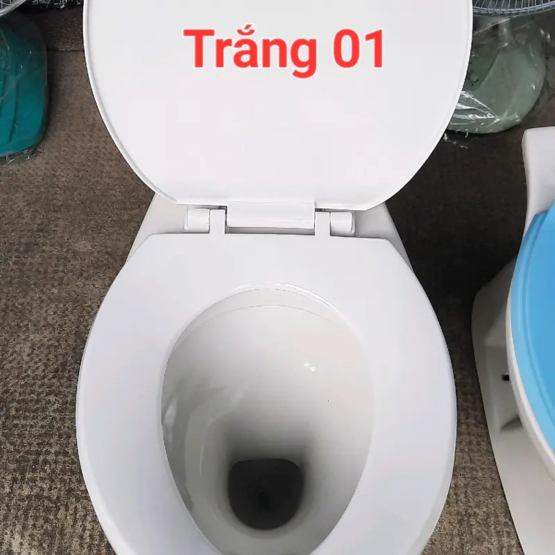 Nắp bồn cầu rơi tự do - phù hợp với bồn cầu 2 két rời và bệ ngồi hiện nay ( Không Vừa Bồn Cầu Liền Khối) 4