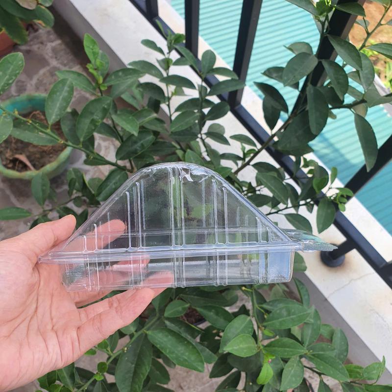 SET 100 Cái Hộp nhựa H06 - Trong suốt - Đưng sanwich, bánh bông lan