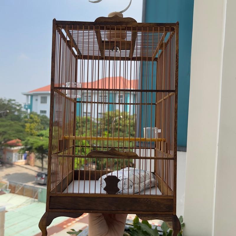  MS8- Lồng chim hút mật gỗ muồng lá liễu 23x40cm  RÁP SẴN  