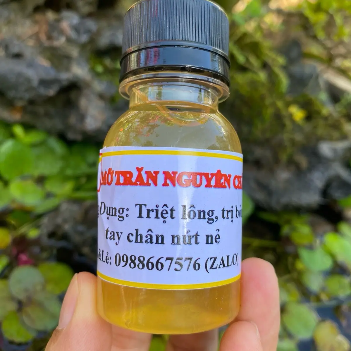 Mỡ trăn nguyên chất 50ml