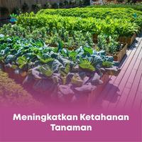 Gambar INFARM - Pestisida Nabati Serbuk Organik, Kendalikan Ulat dan Serangga Secara Alami - Anti Hama  dari Infarm Kota Administrasi Jakarta Barat 5 Tokopedia