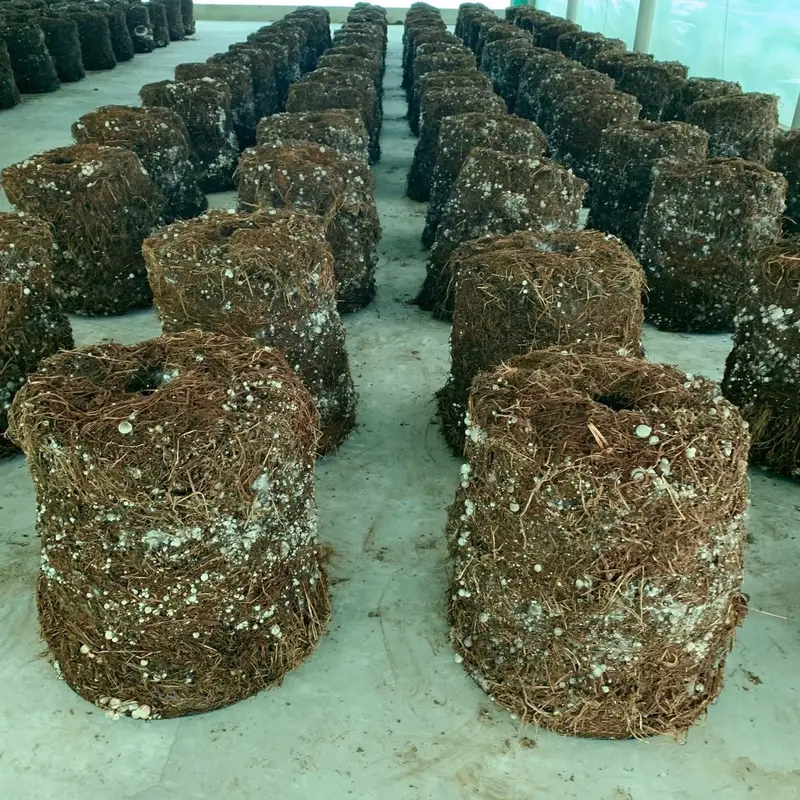 Xịt dưỡng tơ Thần Nông chất lượng uy tín 4