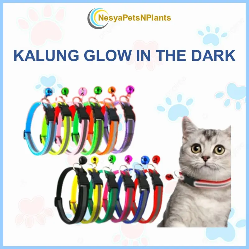 Kalung Kucing Kalung Anjing Glow In The Dark Kalung Hewan Menyala 2