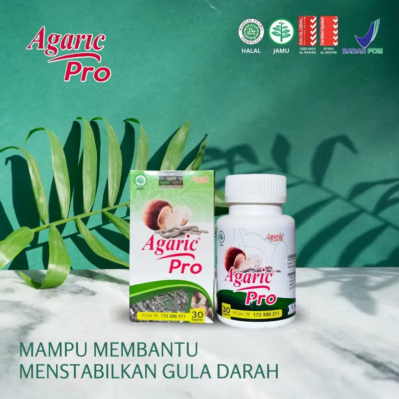 Agaric Pro AgaricPro Original untuk mengurangi Kolesterol coq 10 8