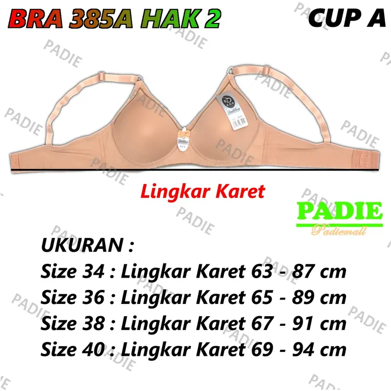 PADIe - 3 PCS BH / Bra Wanita Cewek Remaja/ABG/Dewasa DAILILING 385A Cup A Busa Sedang Tanpa Kawat Kaitan 2 Size 34 - 40 1