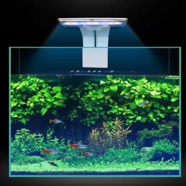 Đèn Led Kẹp Bể Cá Nhiều Màu