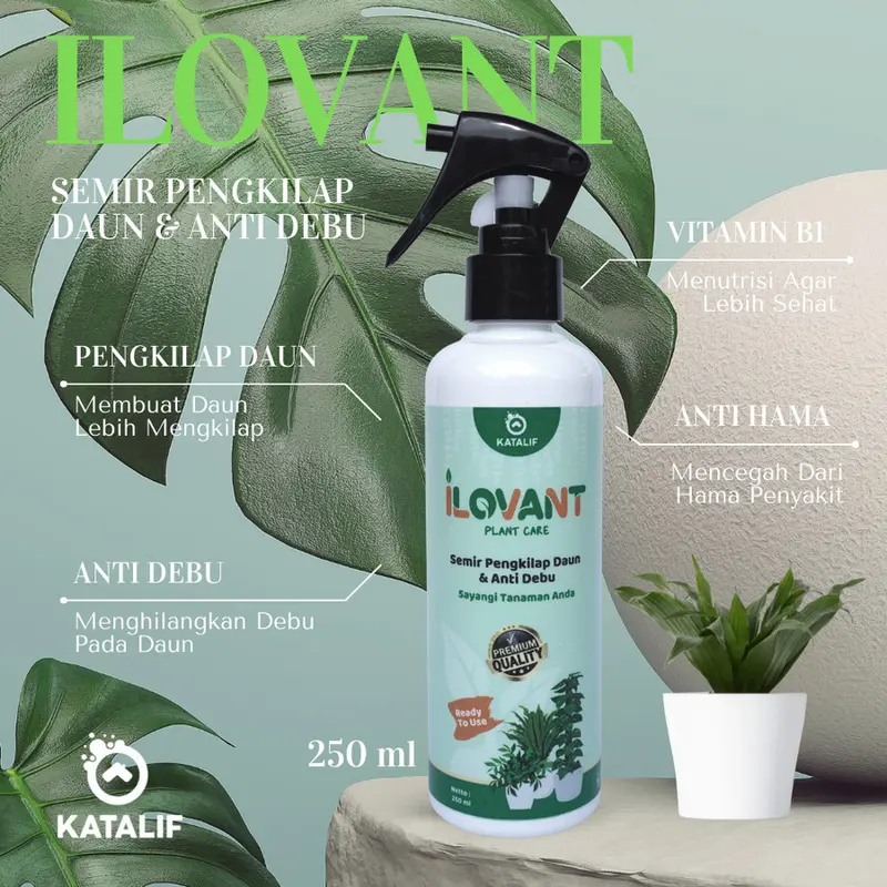 Semir Daun Pengkilap Daun dan Anti Debu Daun | ILOVANT 4