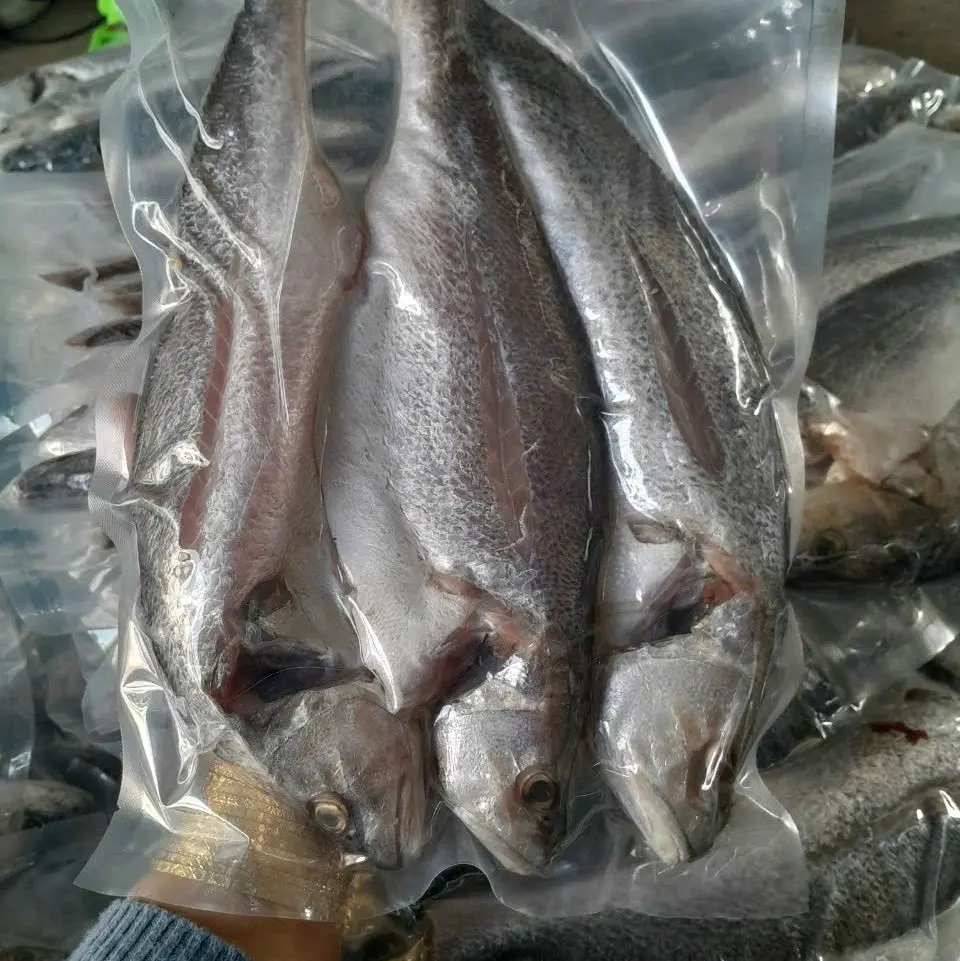 KHÔ CÁ SỬU MỘT NẮNG LOẠI 3 CON 1 KG