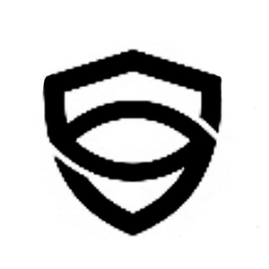 Camera V360Pro Phong Nhãn