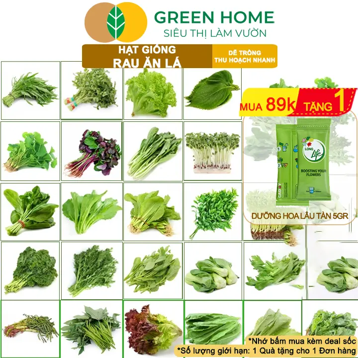 Hạt giống rau ăn lá, trồng chậu, dễ trồng, chịu nhiệt, trồng quanh năm, năng suất cao | Greenhome
