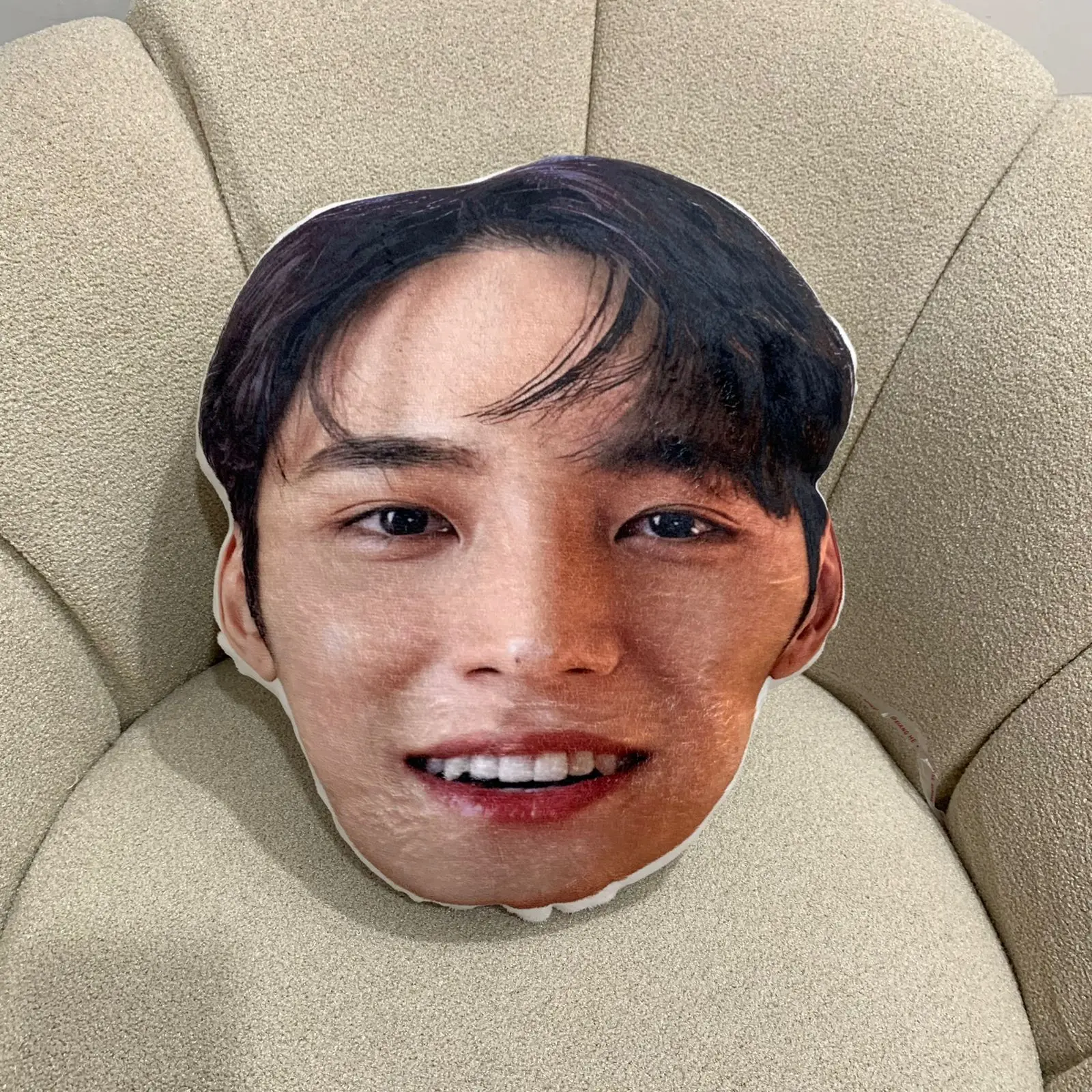 Kim Mingyu Seventeen