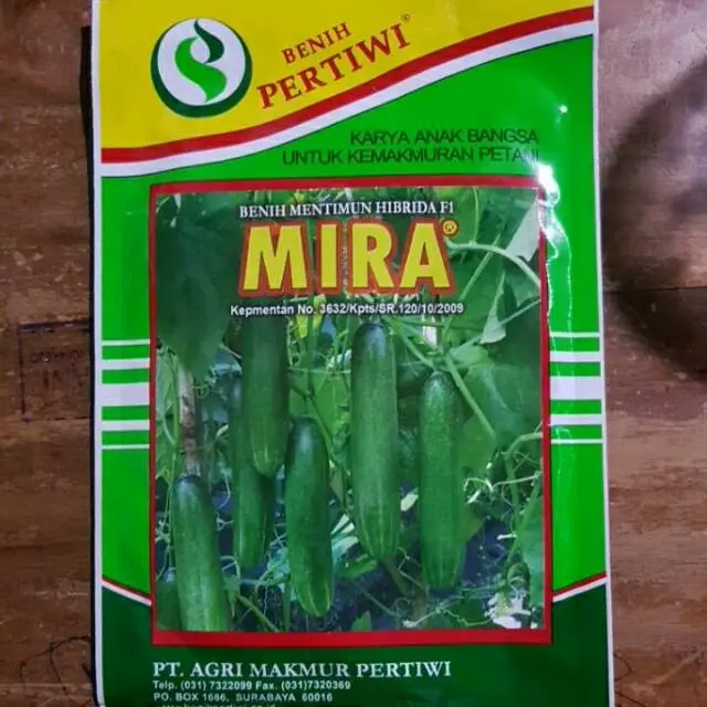 ( 1 bungkus ) Benih timun MIRA F1 25gr biji ketimun mentimun hijau hibrida MIRA dari benih pertiwi Tanaman 0