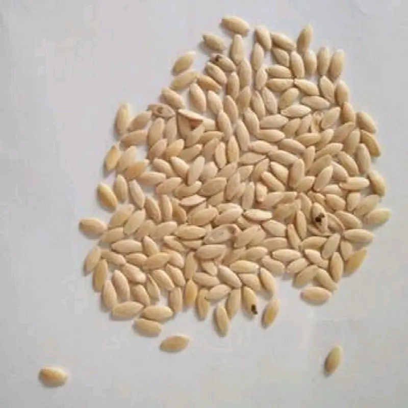 BENIH TIMUN PREMIUM ISI 200 BUTIR 2
