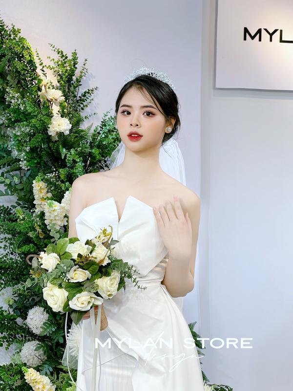Đầm thiết kế chất tafta nhập 2681556 2