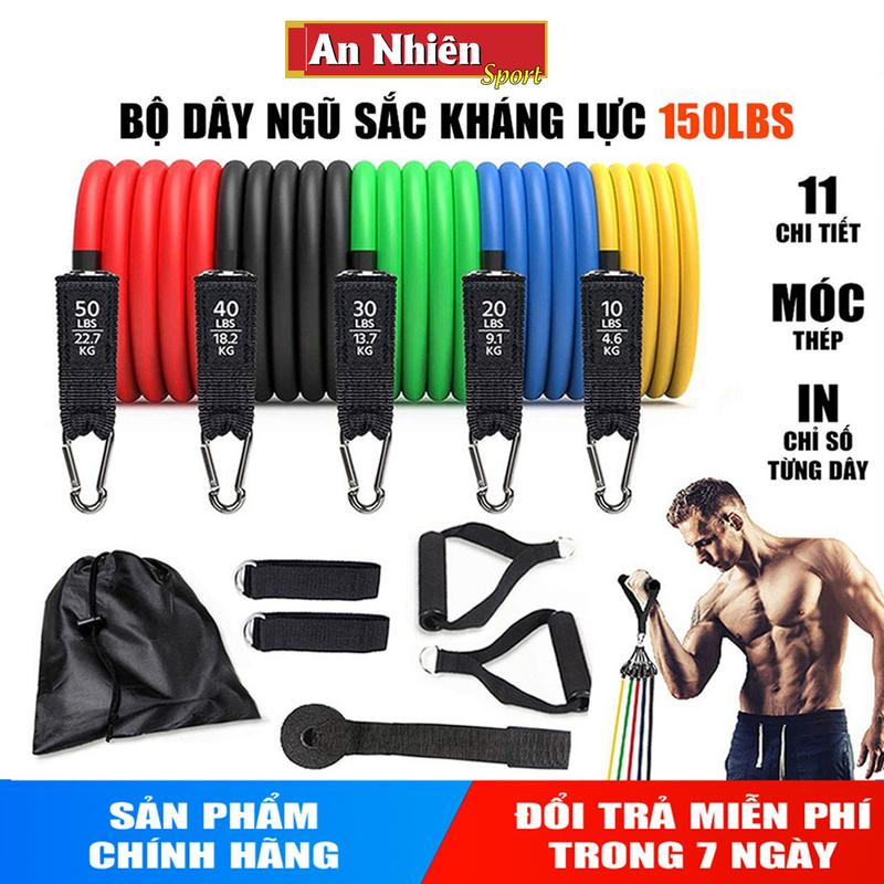 Bộ Dây Kháng Lực Ngũ Sắc Tập Gym Full Body Resistance Band Đai Kháng Lực Hỗ Trợ Tập Luyện Đa Năng Tại Nhà Tập Yoga Tập Cơ Tay