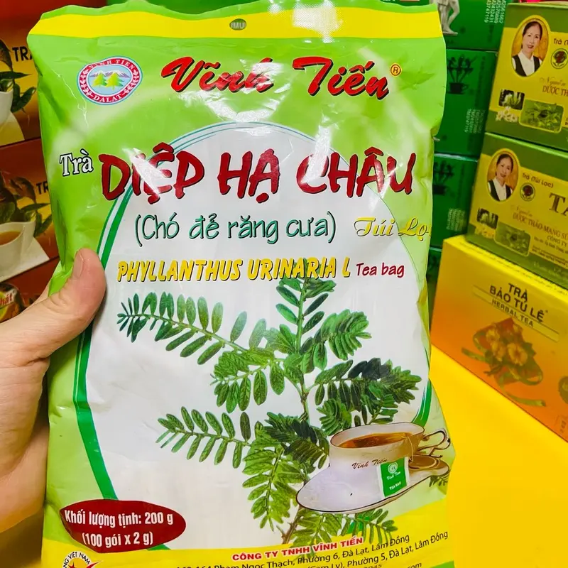 Trà Diệp hạ châu (chó đẻ răng cưa) Vĩnh Tiến 100 gói 0