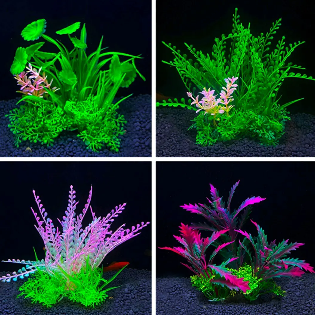Hiasan rumput warna warni aquarium aquascape