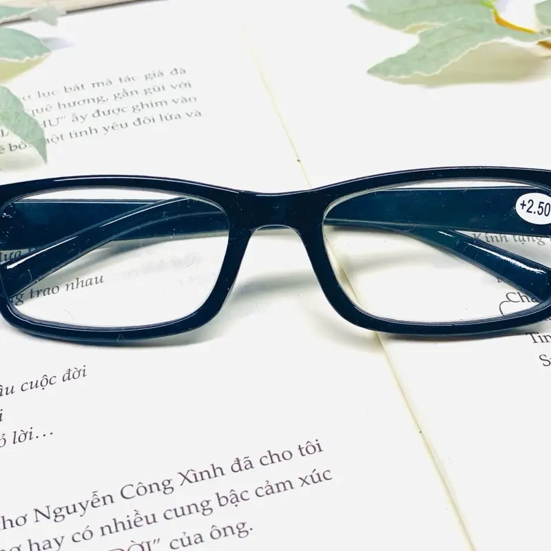 Kính viễn lão gọng nhựa giá rẻ