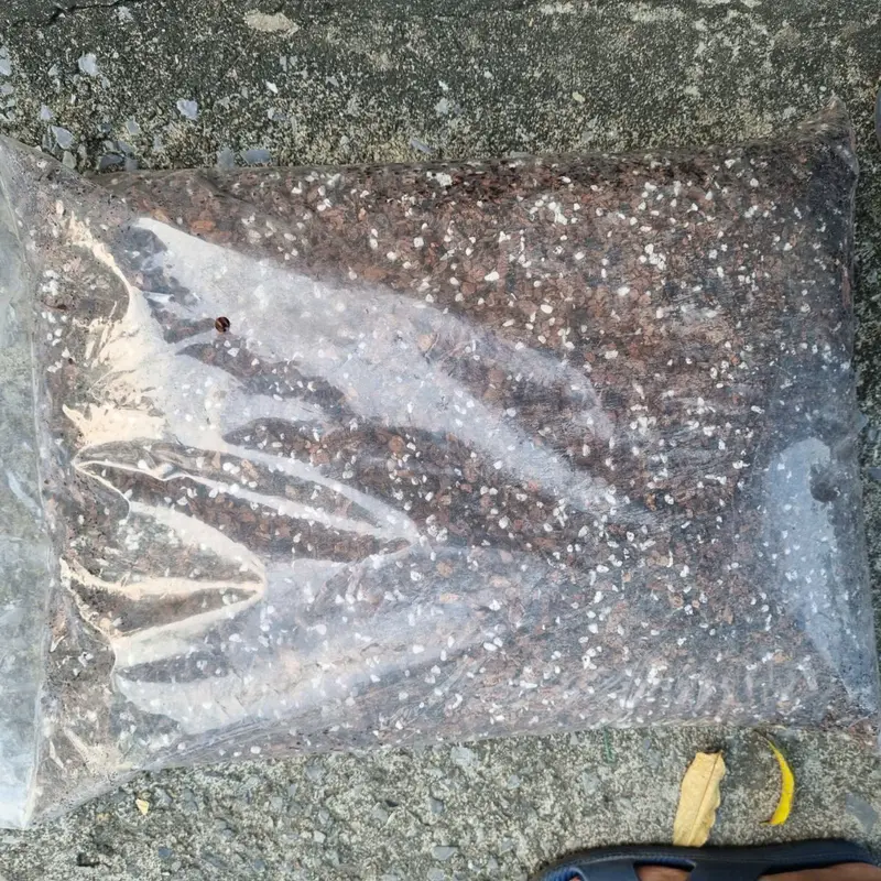 giá thể trộn sẵn cao cấp 6 trong 1 bao 4kg . chuyên cho lan đột biết, lan kiếm, phi điệp, đơn thân và cây cảnh 4