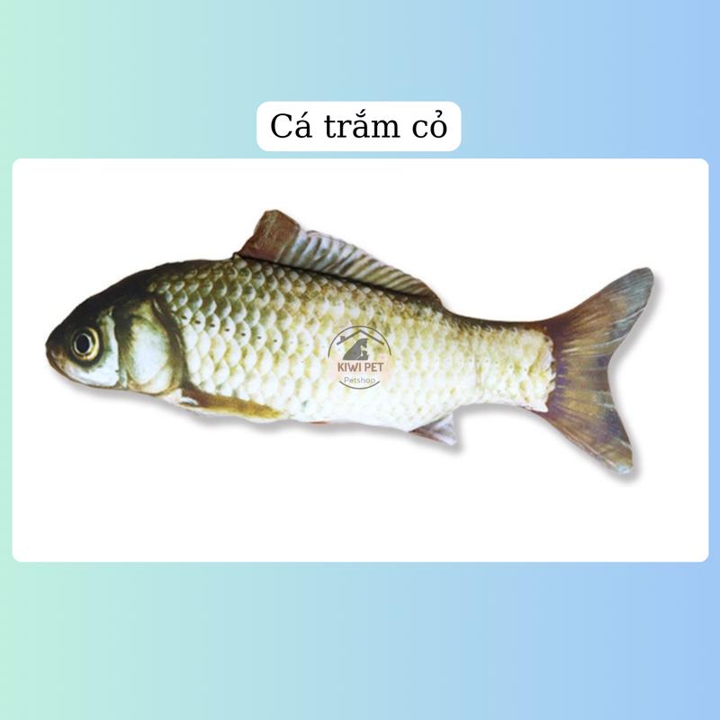 [40cm] Đồ chơi cho thú cưng size Lớn, Cá đồ chơi có CỎ MÈO cho mèo, Đồ chơi giảm stress cho mèo 9