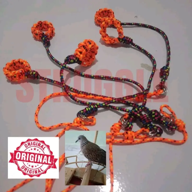 TALI KAKI BURUNG TEKUKUR,RUAK RUAK,KAKAK TUA,BEO,BURUNG HANTU,DLL 2