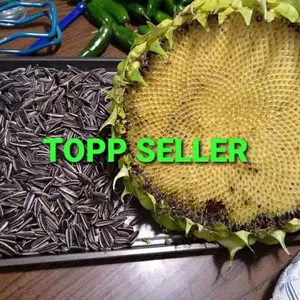 BENIH Bunga Matahari biji besar 200 gram
