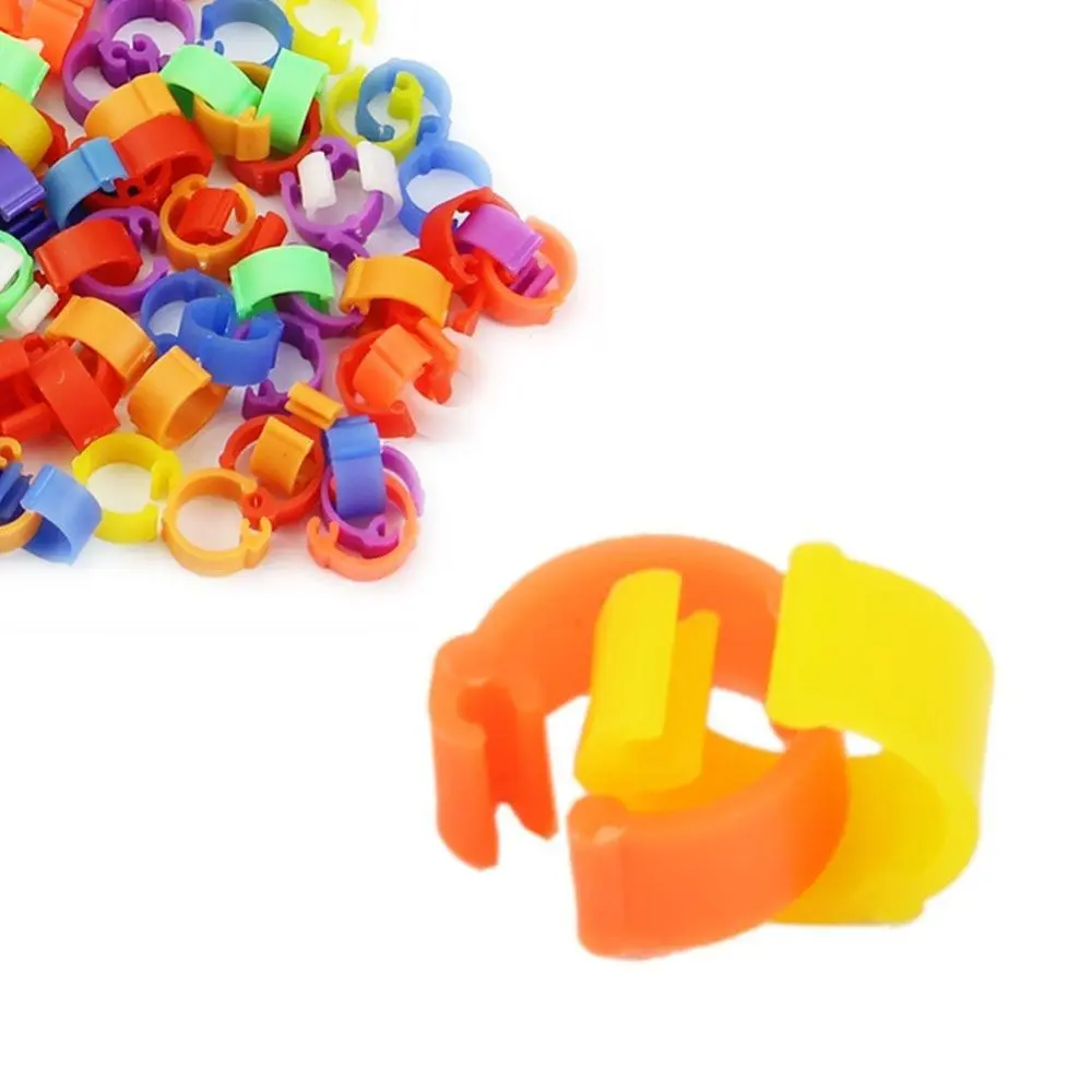 100pcs Easy To Remove Diameter 8 Mm Plastic Pet Products Birds Color Randomly Clip Rings Poultry Leg Rings Pigeon