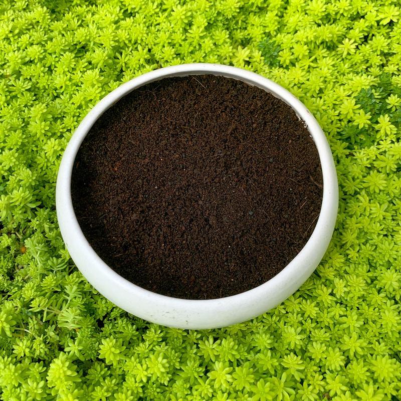 Phân trùn quế (1kg) SONDA GARDEN bổ dưỡng cho cây 6