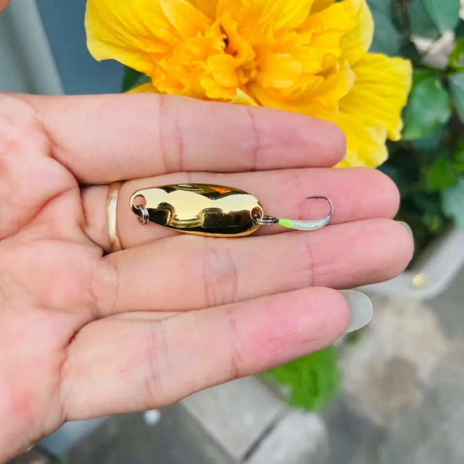 Mồi thìa b.ọ chuyên câu mương