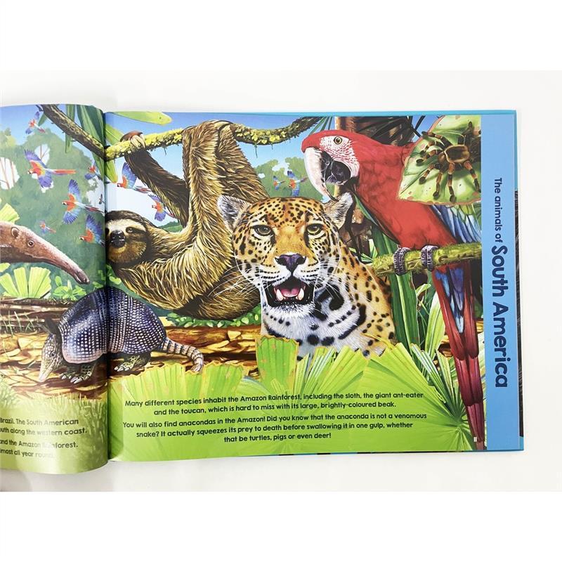 Product Introduction of High Quality Animals Of The World Book For Kids To Learn Interesting Facts About Animals (Hardcover) 16