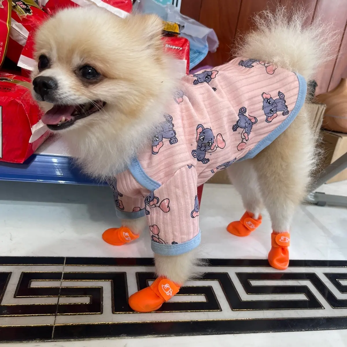 Giày đi mưa , đi biển cho chó mèo(Note số kí. pé khi đặt đơn nhé )