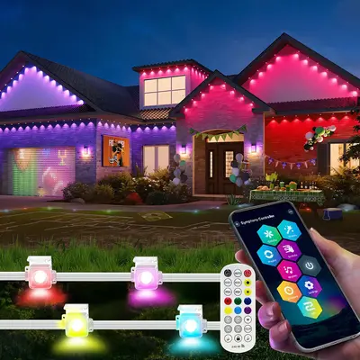 Selected Home Accents Holiday Lights TikTok Shop