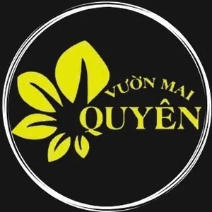 VƯỜN MAI QUYÊN