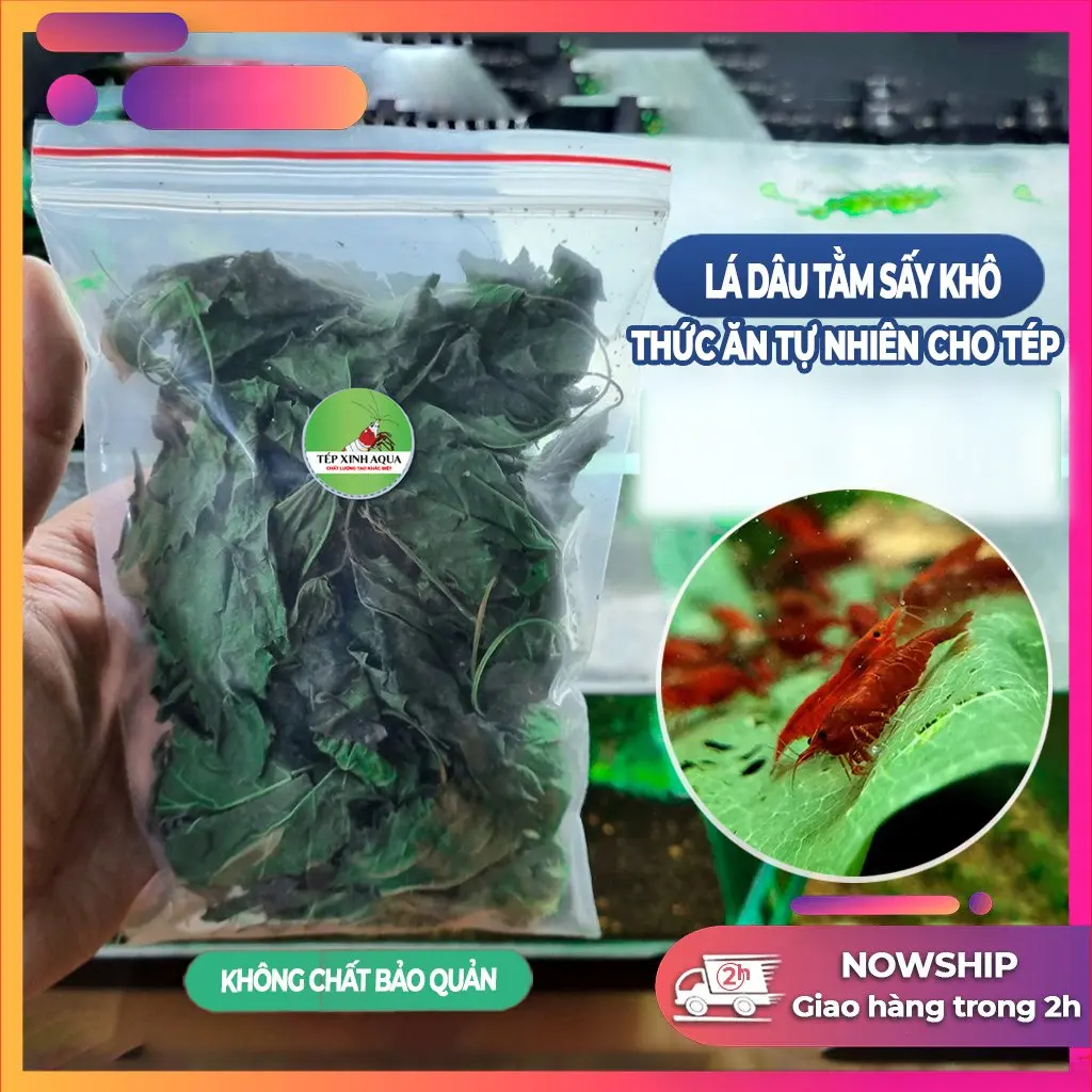 Lá Dâu Tằm Sấy Khô - Thức ăn tự nhiên cho tép Cảnh [TÉP XINH AQUA]