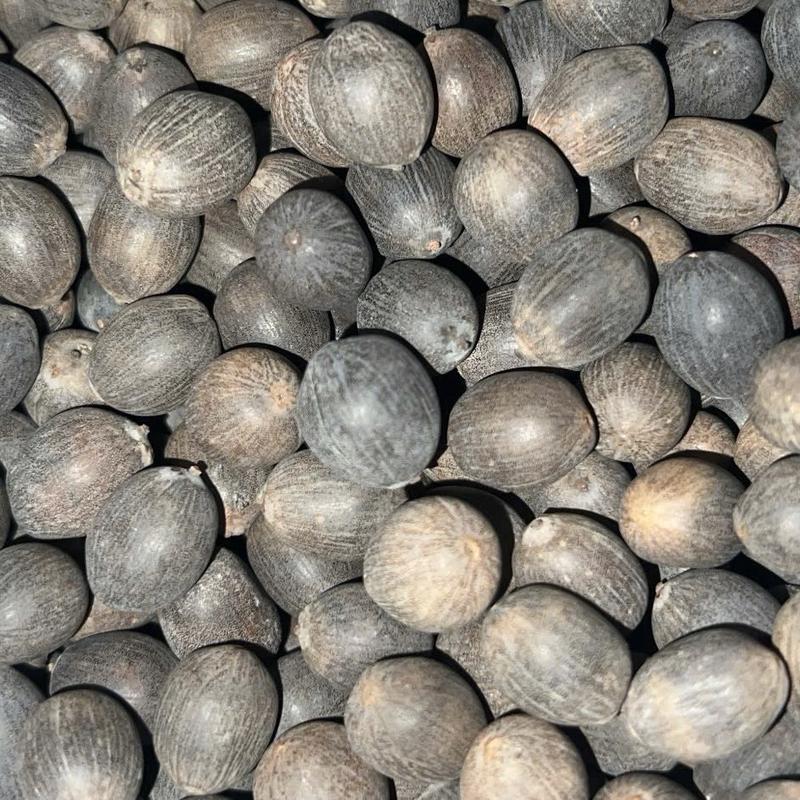 Hạt Sen Đen Nguyên Vỏ Đồng Tháp 2 Nắng Đồng Tháp-500g-Hạt Giống Sen Ta Thích Hợp Dùng Để Trồng 1