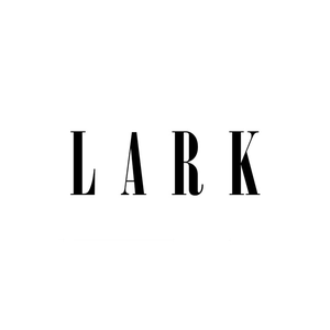 LARK STUDIO