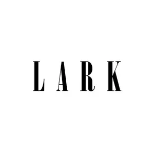 LARK STUDIO