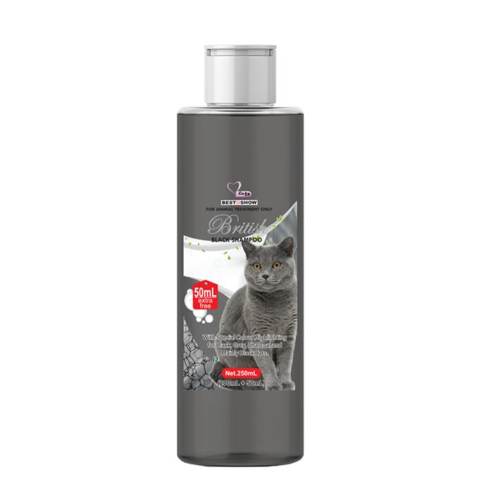 Gambar Shampoo Best In Show British Black Cat 250 ml Shampoo British Cat 250m dari Petto Store Kab. Tangerang Tokopedia