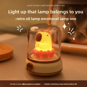 Lucky Lotus Dolphin Light USB Charging Night Light LED Atmosphere Light