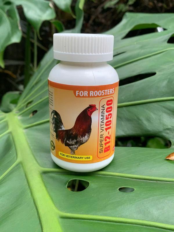  Thuốc Nuôi Gà Tơ Và Gà Đá B12-10.500 Tăng Bo Khủng Sung Hừng Cự Mạnh - Hũ 50 Viên Và Hũ 100 Viên 