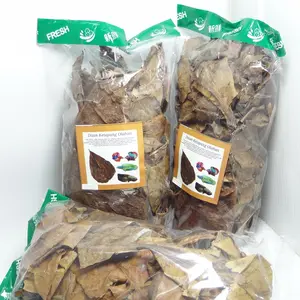 Daun Ketapang Laut Fermentasi Olahan siap Pakai