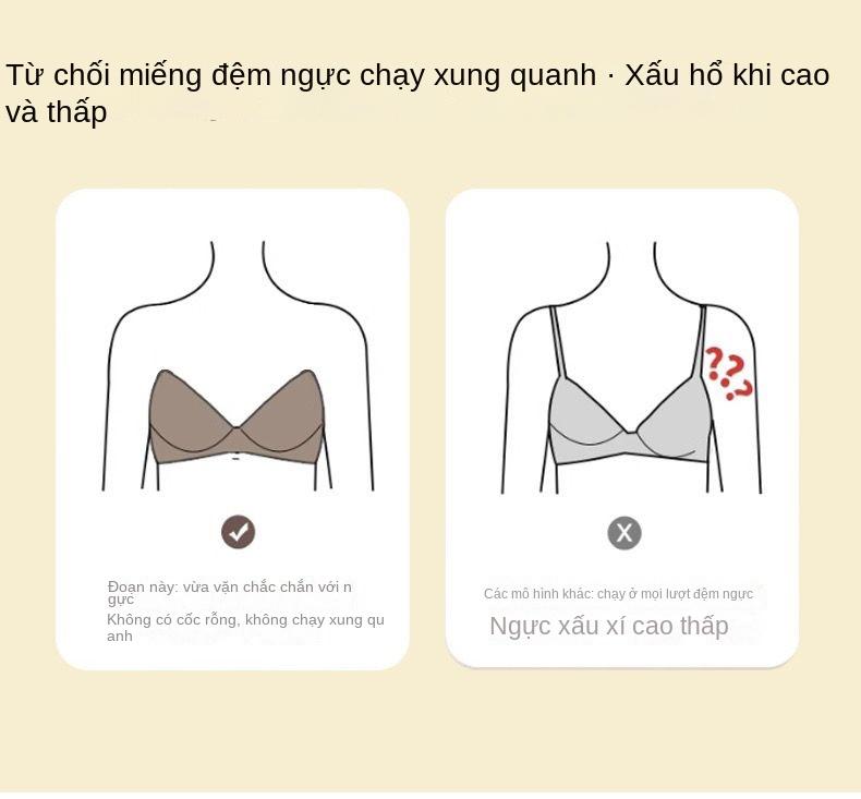 Product Introduction of Áo Ngực Nữ, Dây Đeo Spaghetti Đẩy Lên, Thích Hợp Cho Ngực Nhỏ Dày 4Cm, Thích Hợp Cho Ngực Phẳng, Không Có Cốc Rỗng, Cài Cửa Trước 12