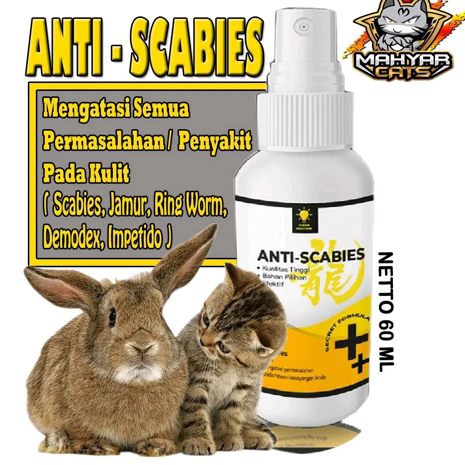 Anti Scabies Anti Jamur Pada Kulit Kucing Kelinci