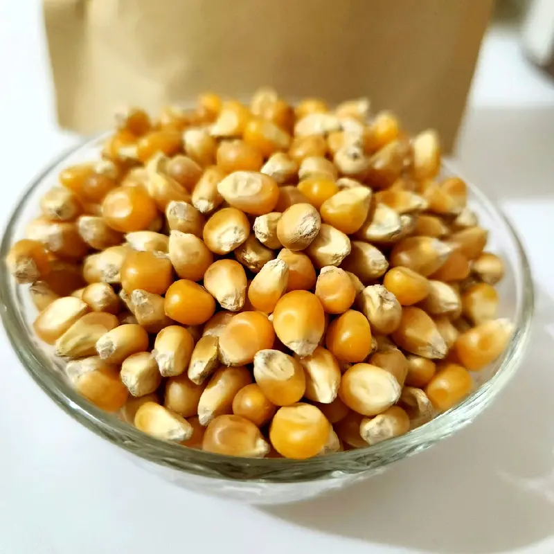 Jagung Popcorn Jumbo Mushroom Alka Sari Food Snacks 1