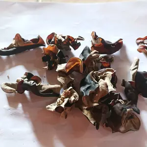 jamur kuping kering kecil sortir 1 kg