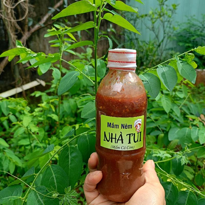 Combo 3 chai mắm nêm cá cơm Nhà Tui - đặc sản Bình Định 2